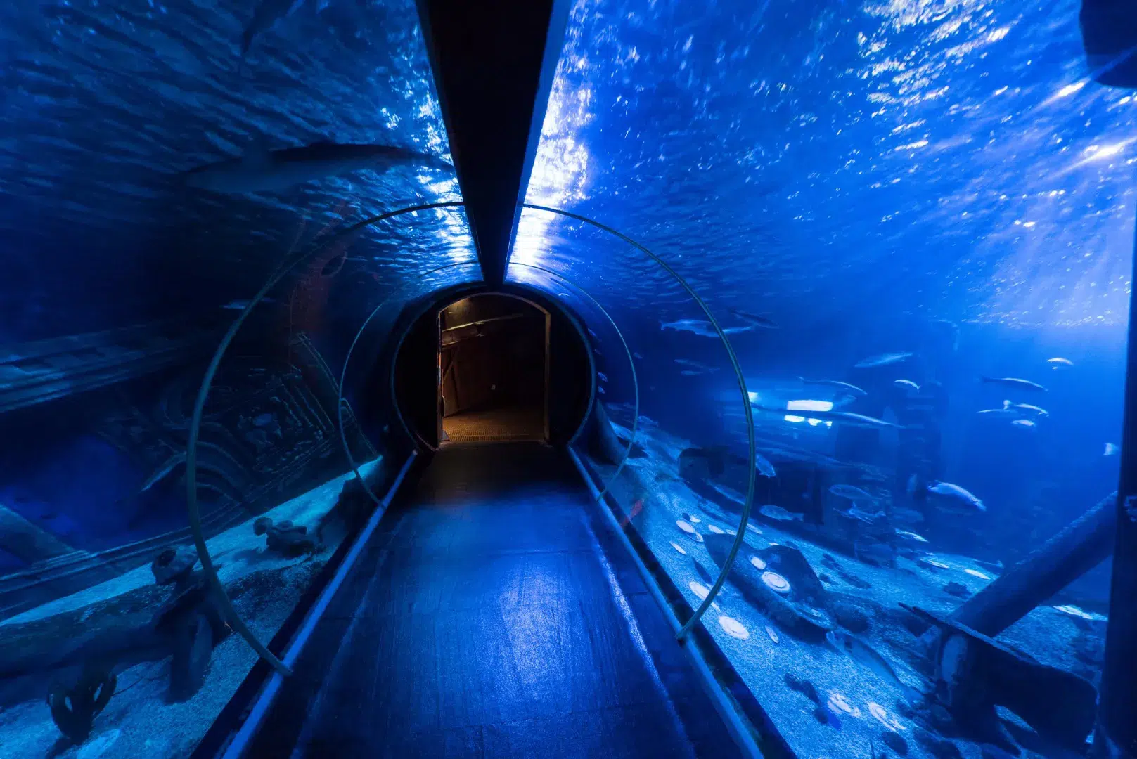 aquarium val d'europe, activité en famille